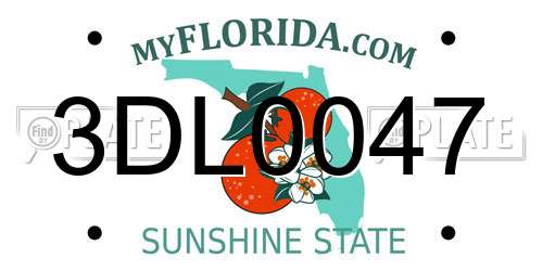 3DL0047 Florida License Plate