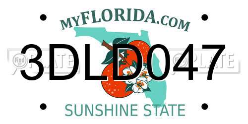 3DLD047 Florida License Plate