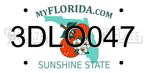 3DLO047 Florida License Plate
