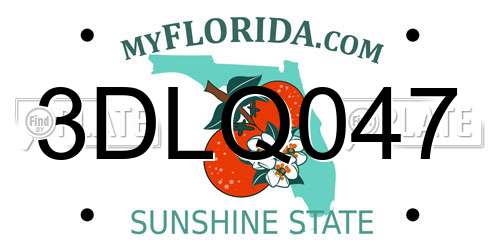 3DLQ047 Florida License Plate