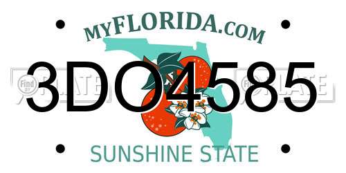 3DO4585 Florida License Plate