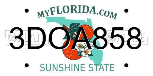 3DOA858 Florida License Plate
