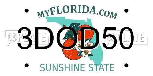 3DOD50 Florida License Plate