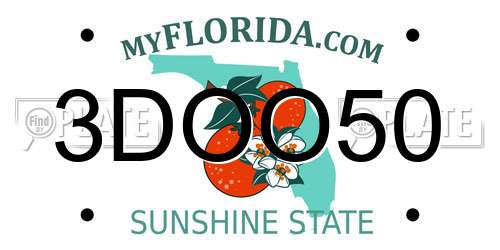 3DOO50 Florida License Plate