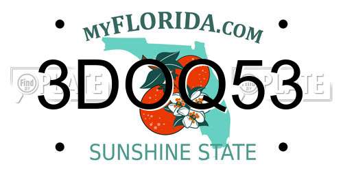 3DOQ53 Florida License Plate
