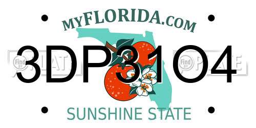 3DP31O4 Florida License Plate