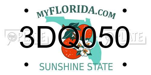 3DQ050 Florida License Plate