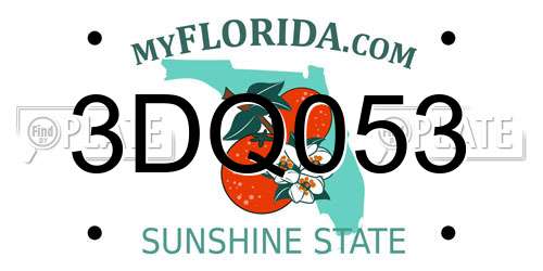 3DQ053 Florida License Plate