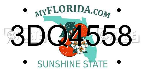 3DQ4558 Florida License Plate