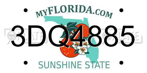3DQ4885 Florida License Plate