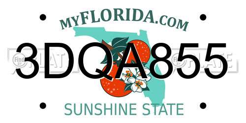 3DQA855 Florida License Plate
