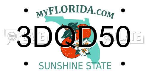 3DQD50 Florida License Plate