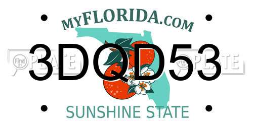 3DQD53 Florida License Plate