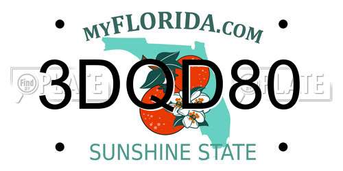 3DQD80 Florida License Plate
