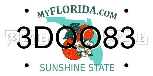 3DQO83 Florida License Plate