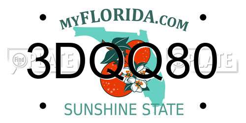 3DQQ80 Florida License Plate