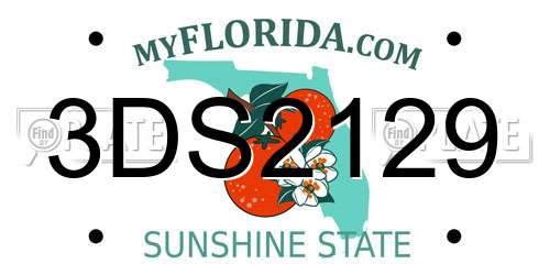 3DS2129 Florida License Plate