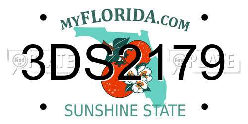 3DS2179 Florida License Plate