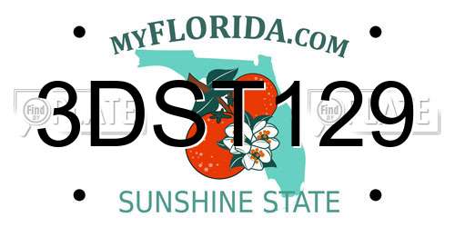3DST129 Florida License Plate