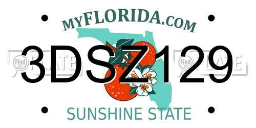 3DSZ129 Florida License Plate