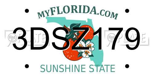 3DSZ179 Florida License Plate