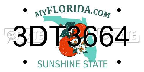 3DT3664 Florida License Plate
