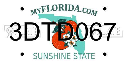 3DTD067 Florida License Plate