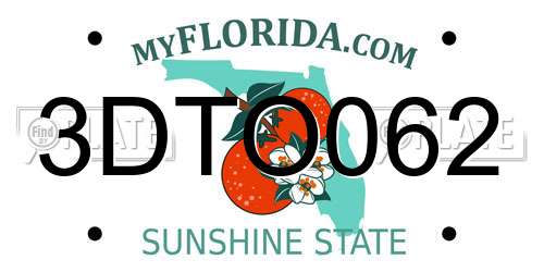 3DTO062 Florida License Plate