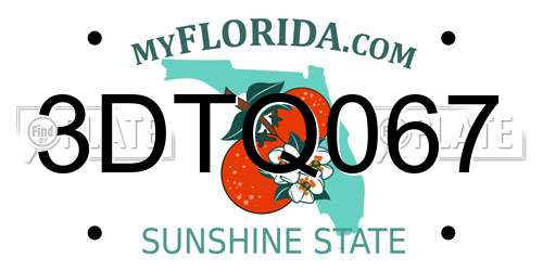 3DTQ067 Florida License Plate