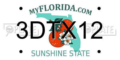 3DTX12 Florida License Plate