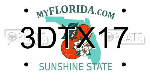 3DTX17 Florida License Plate
