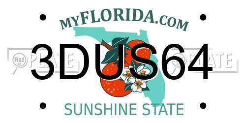 3DUS64 Florida License Plate
