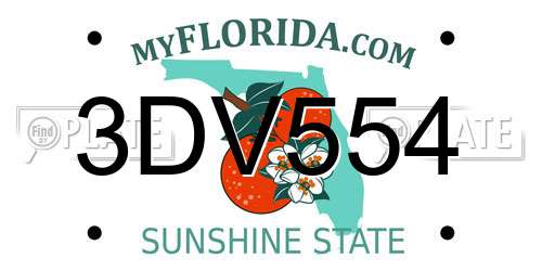 3DV554 Florida License Plate