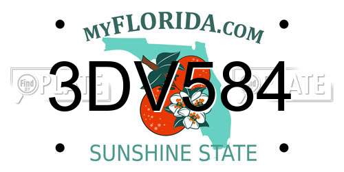 3DV584 Florida License Plate