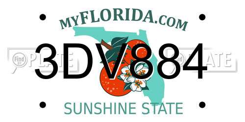 3DV884 Florida License Plate