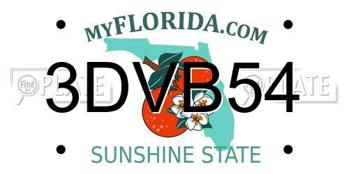 3DVB54 Florida License Plate