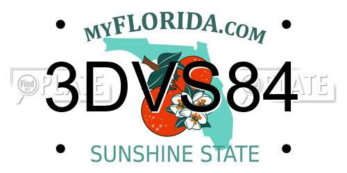 3DVS84 Florida License Plate