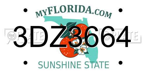 3DZ3664 Florida License Plate