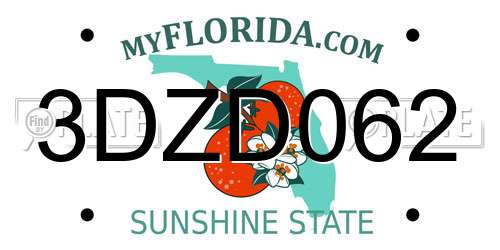 3DZD062 Florida License Plate