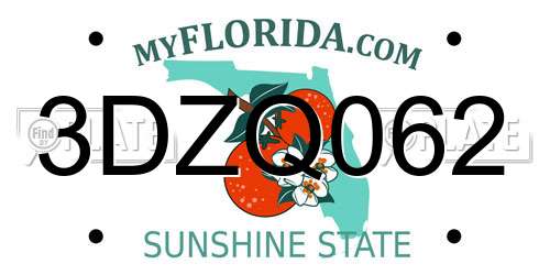 3DZQ062 Florida License Plate