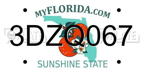 3DZQ067 Florida License Plate