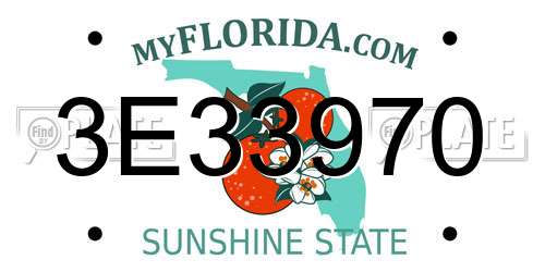 3E33970 Florida License Plate