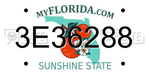 3E36288 Florida License Plate
