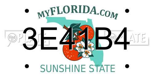 3E41B4 Florida License Plate