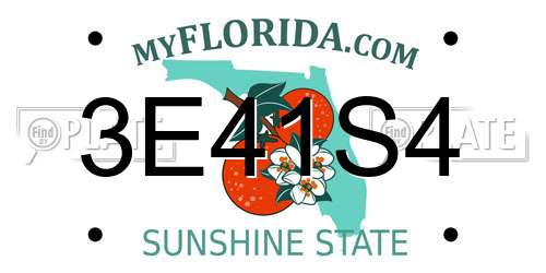 3E41S4 Florida License Plate