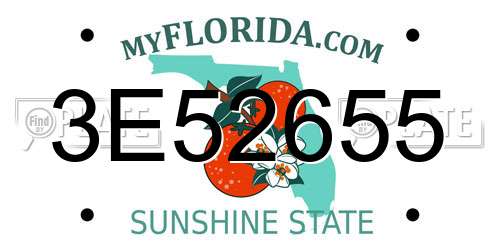 3E52655 Florida License Plate