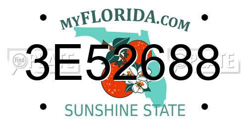 3E52688 Florida License Plate