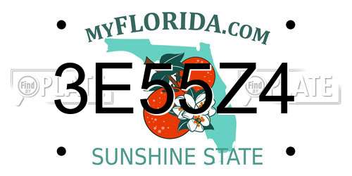 3E55Z4 Florida License Plate