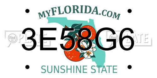 3E58G6 Florida License Plate