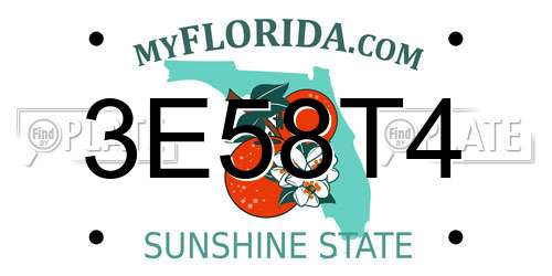 3E58T4 Florida License Plate
